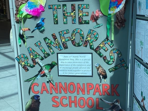 World Rainforest Day